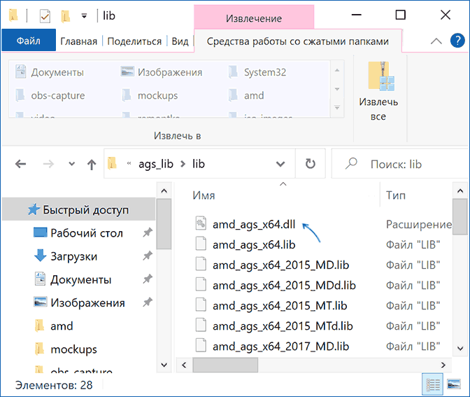 Файл amd_ags_x64.dll в составе AMD GPU Services libraires