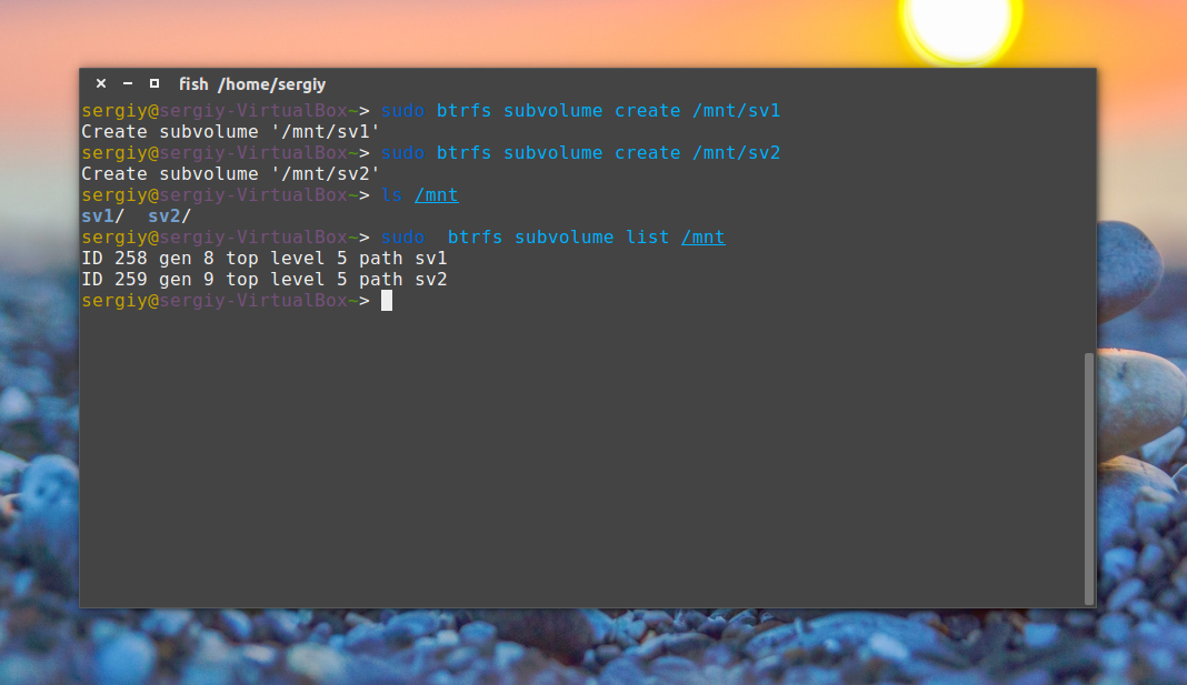 btrfs6