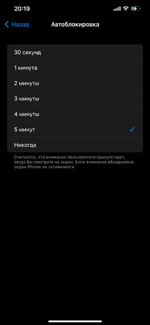 Настройка времени до отключения экрана iPhone