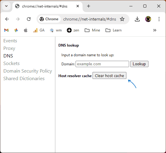 Очистка кэша DNS в Chrome