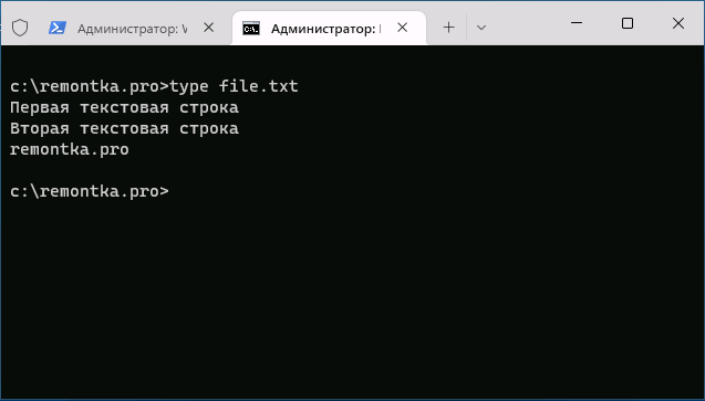 Вывод текстового файла с помощью команды type