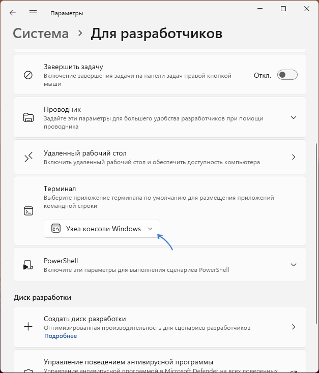 Настройки окна консоли в параметрах разработчика Windows 11