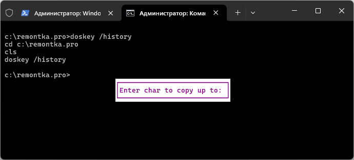 Ввод символа, до которого нужно скопировать команду