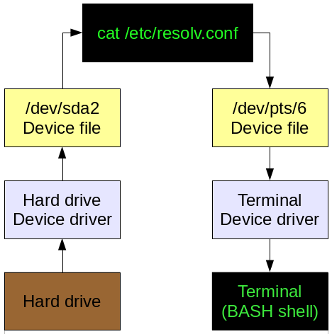 dboth-dev-dir_0