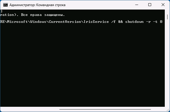 Удаление параметров Iris Service