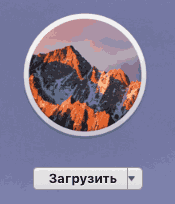 Скачать MacOS Sierra из AppStrore
