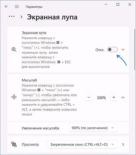 Включить экранную лупу в параметрах Windows 11