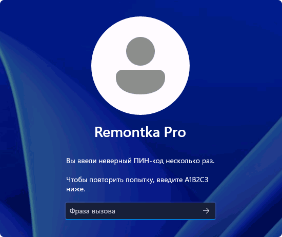 Сообщение Чтобы повторить попытку, введите A1B2C3 при входе в Windows