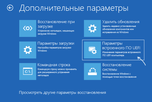 Открыть параметры UEFI в среде восстановления Windows 11