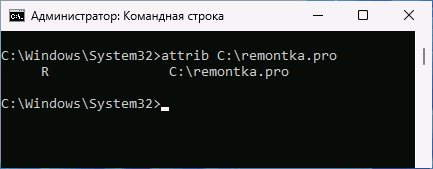 Папка Только для чтения в Windows
