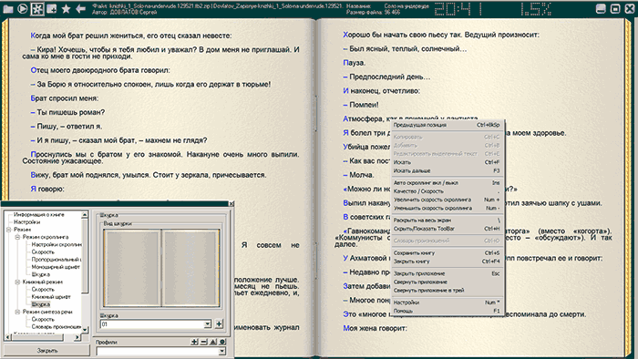 Чтение в ICE Booke Reader Professional