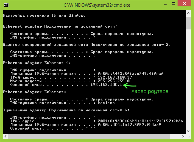 Выполнение команды ipconfig