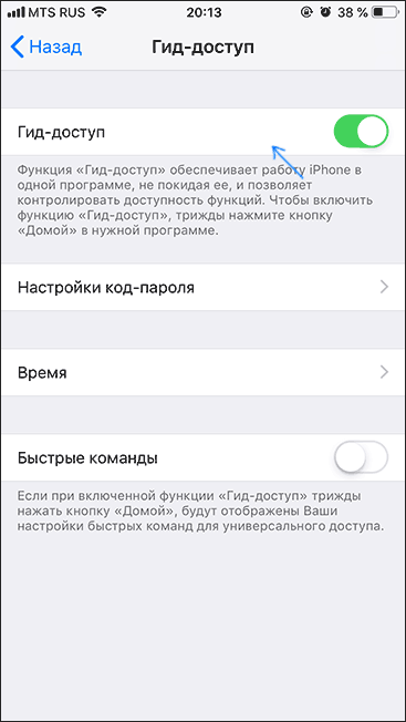 Гид-доступ на iPhone