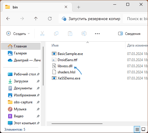 Файл libxess.dll в XeSS SDK
