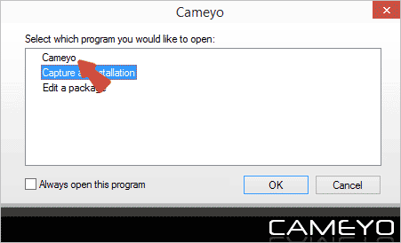 Диалоговое окно при запуске Cameyo