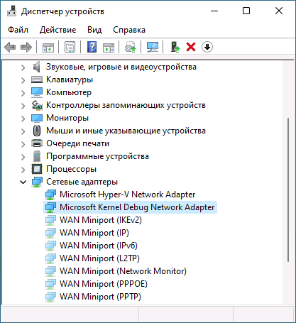 Microsoft Kernel Debug Network Adapter в диспетчере устройств