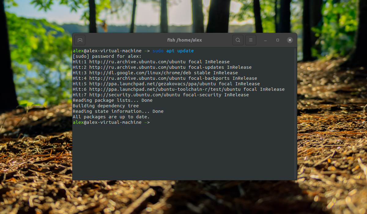 j9SAJVWom+5GQAAAABJRU5ErkJggg==