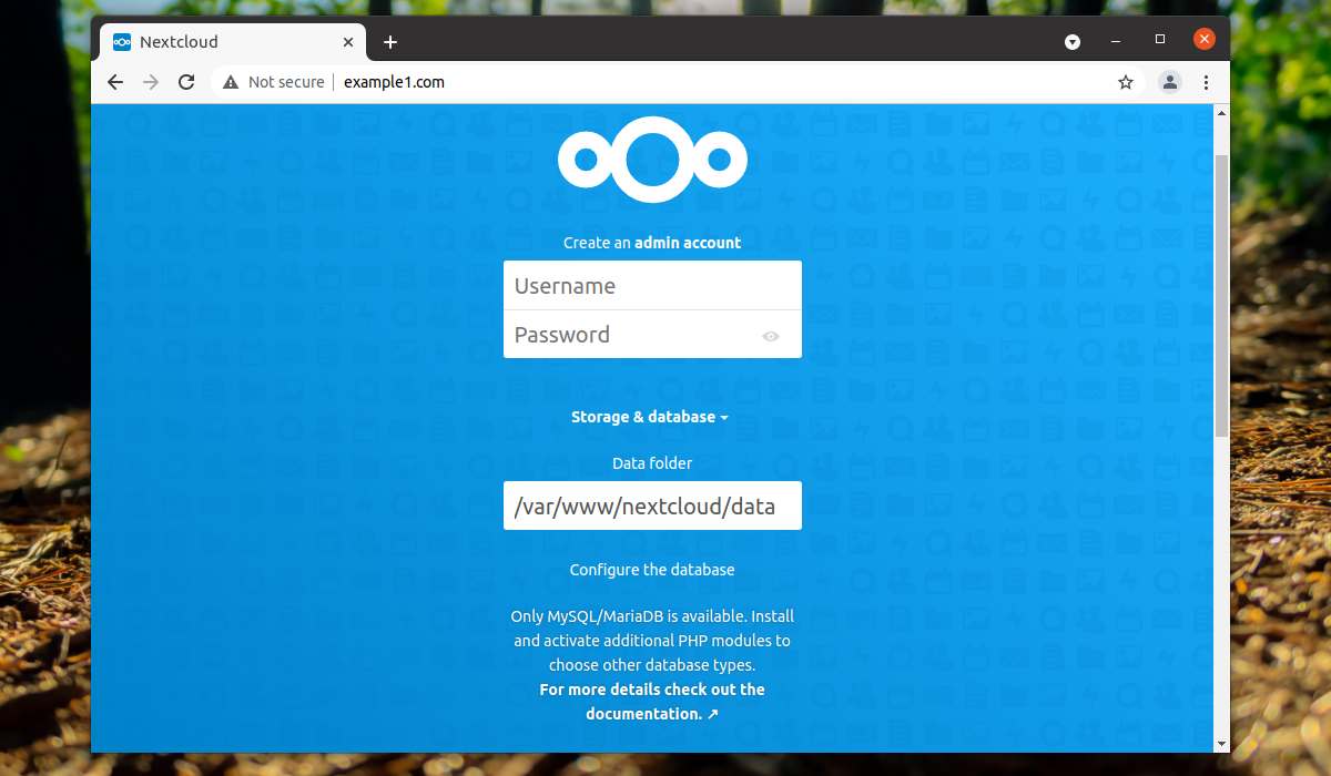 dlALX3AFmVAAAAAASUVORK5CYII=