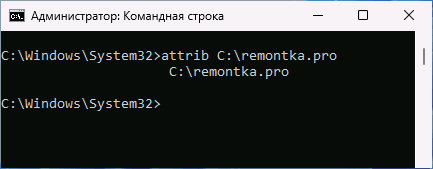 Атрибут Только для чтения отсутствует