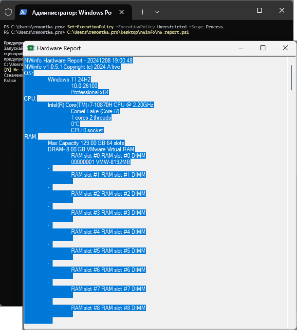 Результат выполнения сценария PowerShell NWinfo