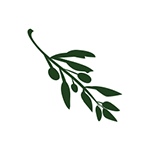 Видеоредактор Olive