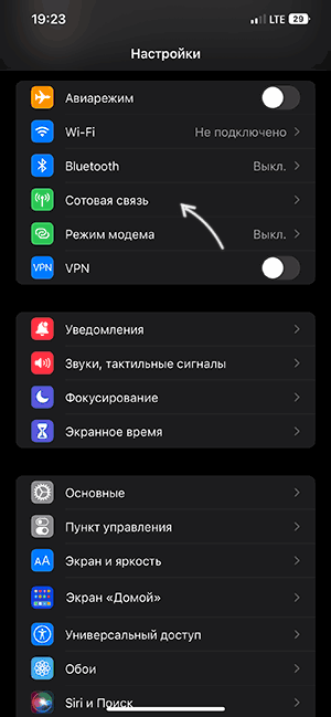 Открыть параметры сотовой связи на iPhone