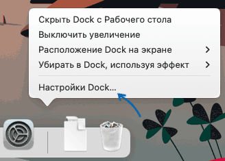 Открыть настройки Dock на Mac