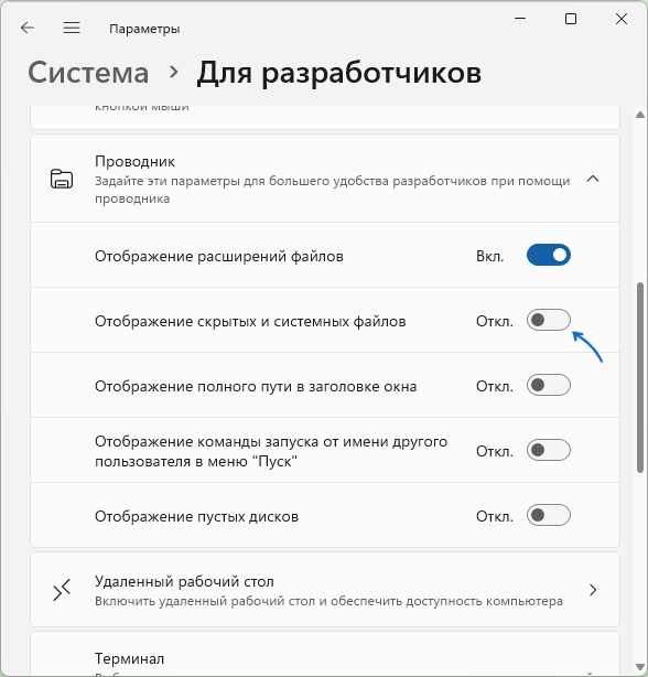 Отображение скрытых и системных файлов в параметрах разработчика