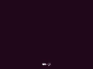 ubuntu-install1