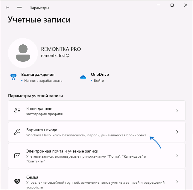 Варианты входа в параметрах Windows
